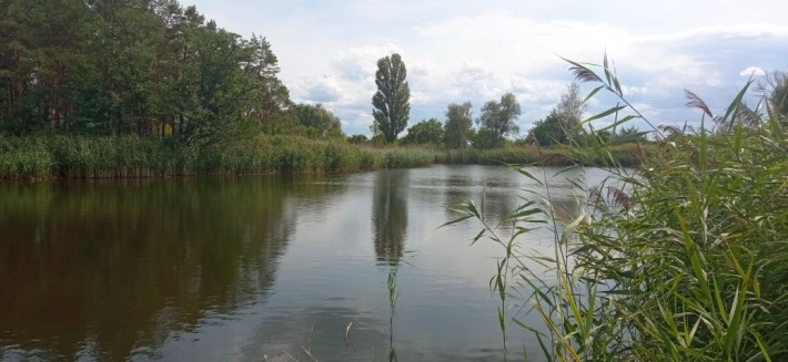 Продам дачу в садовому товаристві с. Червона Слобода - фото 1