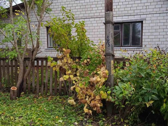 Продается дом в Новгород-Северском Новгород-Сіверський