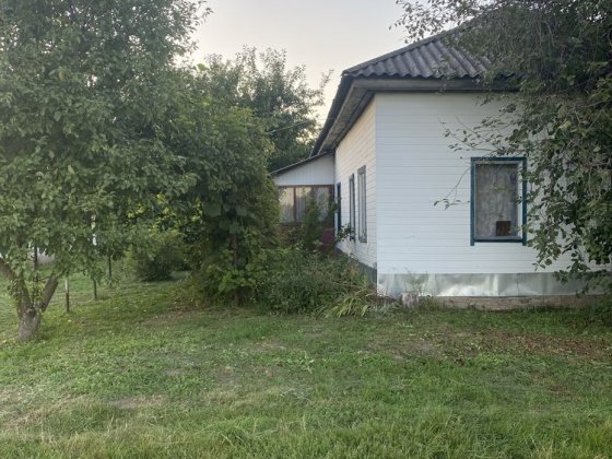 Затишний будинок у с.Ядути, готовий  до проживання!Чернігівщина! Борзна