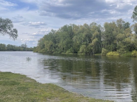 Продам дачу в Жавінці Жавинка