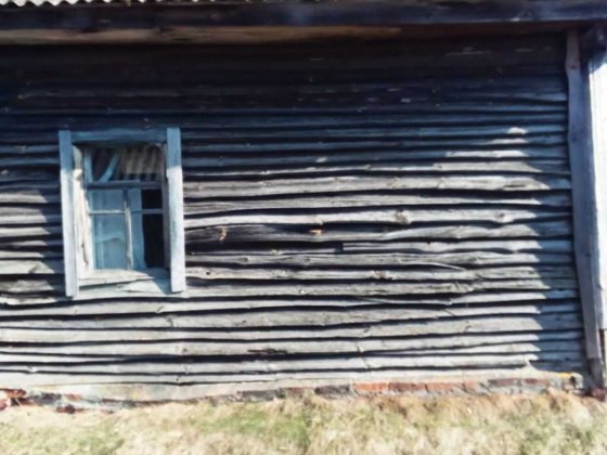 Будинок дерев'яний Ріпки