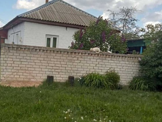 Будинок в с. Анисів Чернігівського р-ну Анисов