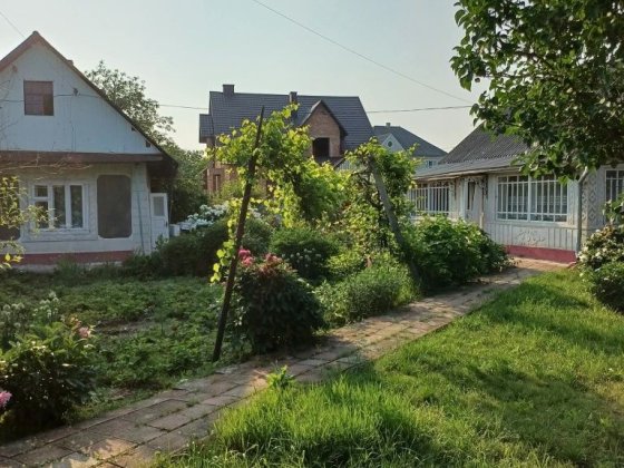 М. Новоселиця.Продається будинок Новоселица