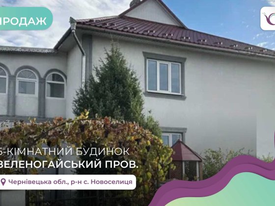 Будинок 215 м2 та земельна ділянка 20 соток в Новоселиці Новоселица
