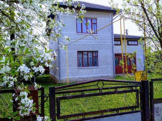 Продам 2 будинки, господарство Вашковцы