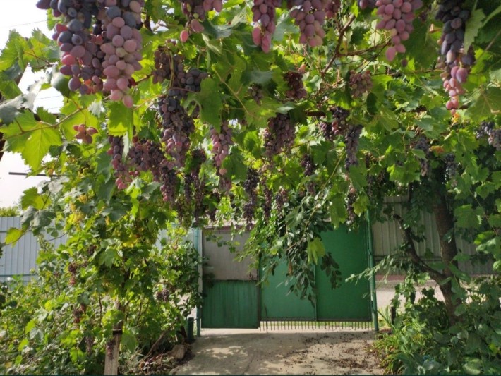 Будинок (ОБМІН НА АВТО) + гараж- ангар,  центр-Кушугум. - фото 1