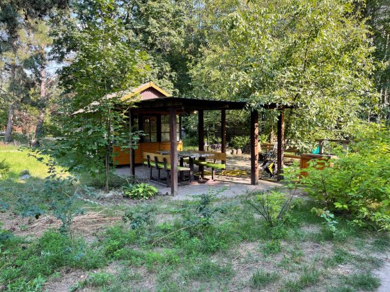 Продам участок с домиком в кооперативе Домаха. Волна. Разумовка