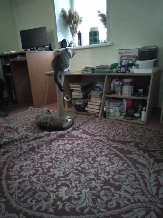 Продам будинок в примісті Запоріжжя - фото 1