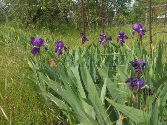 Продається дача 6 соток Богатыровка