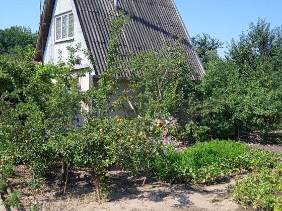 Продам дачу с.Привольное Приднепровское