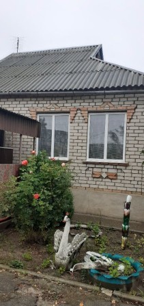 Продам будинок в с.Шолохове - фото 1