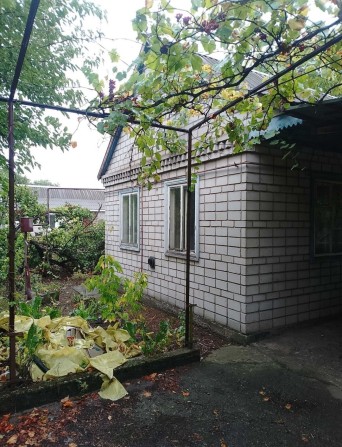 Продам Дом Каменское Л/Б. Куриловка. Петриковский район. Площадь  54м2 - фото 1