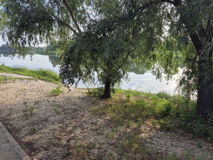 Продам дачу в Садовому Товаристві ДНІПРО - фото 1