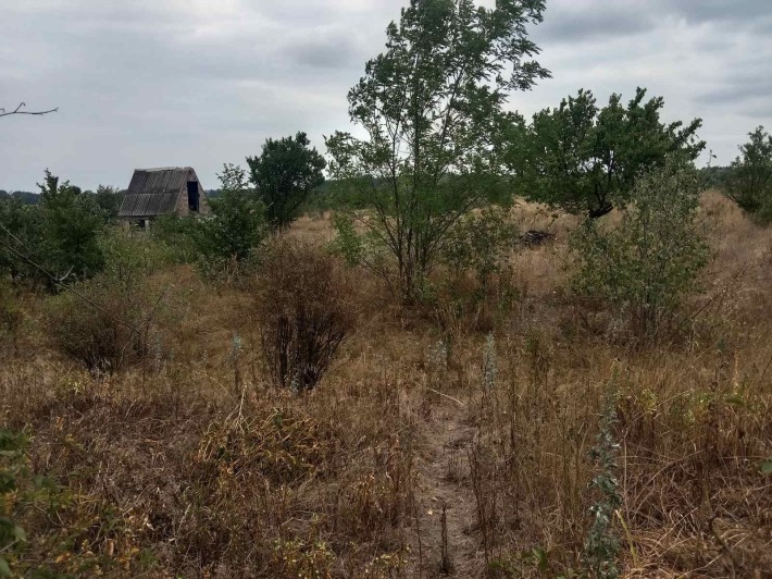 Домик в Куриловке и участок 30соток - фото 1