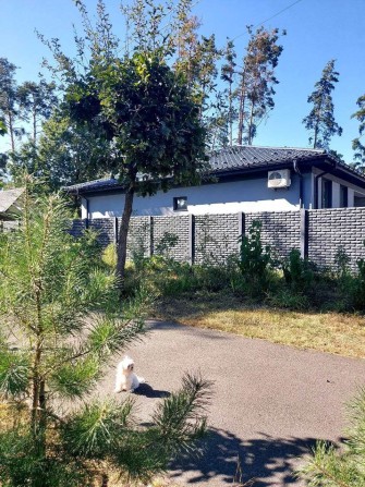 БУДИНОК з ремонтом у м.Буча - фото 1