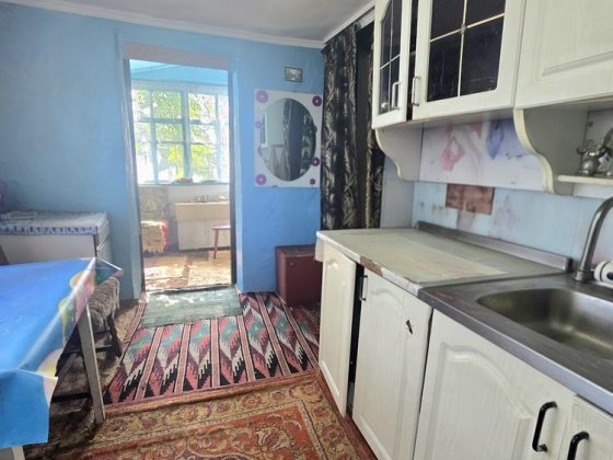 Затишний цегляний будинок в селі Дрозди Белая Церковь