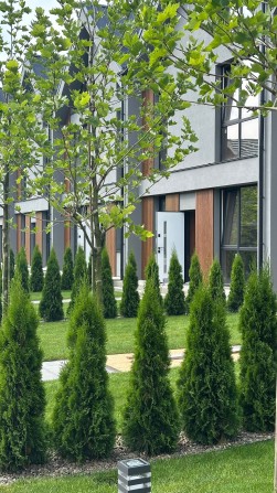 Таунхаус з підвалом в центрі міста. - фото 1