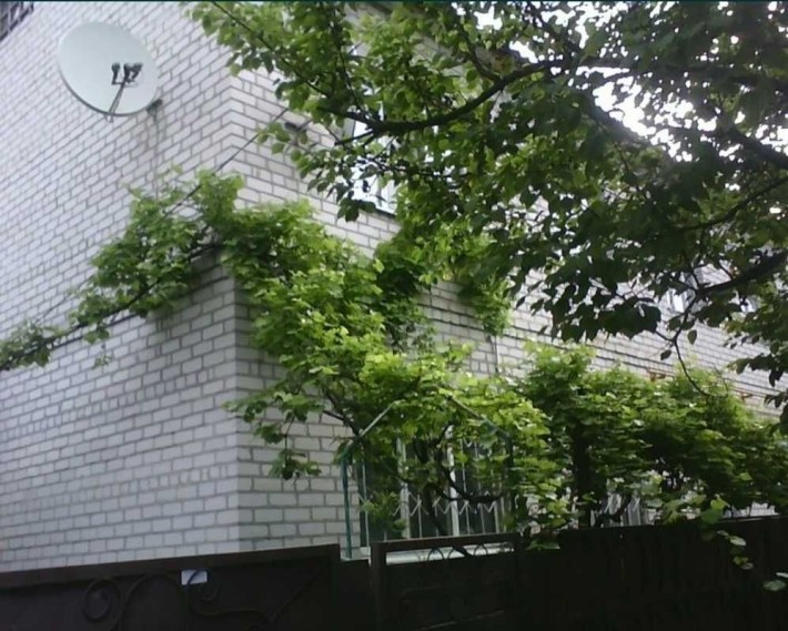 Продається будинок в тихому місці - фото 1