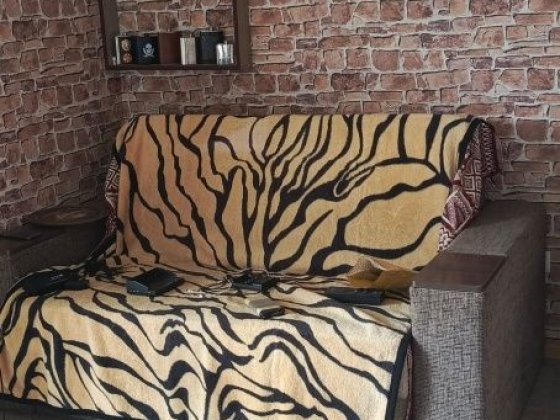 Продам будинок в центрі Борисполь