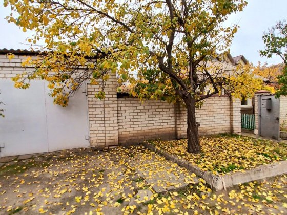 Продам будинок з гаражем на МОПРІ