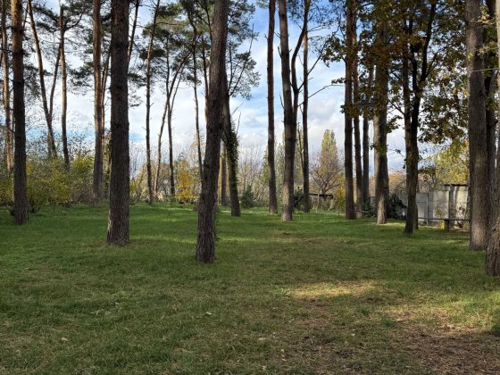 Продається дачний (садовий) будинок біля лісу!!! Луцьк