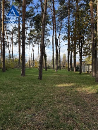 Продається дачний (садовий) будинок біля лісу!!! - фото 1