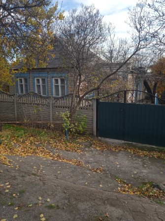 Продається будинок у веселих тернах - фото 1