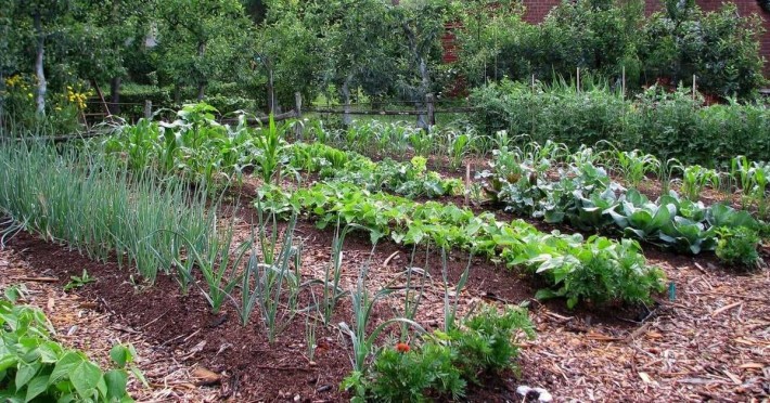 Продаю дачу у Тернівському районі - фото 1