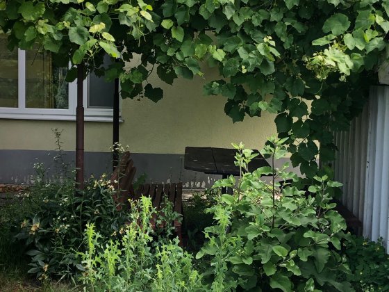 Окремий будинок  чекає на свого господаря Полтава