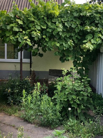 Окремий будинок  чекає на свого господаря - фото 1