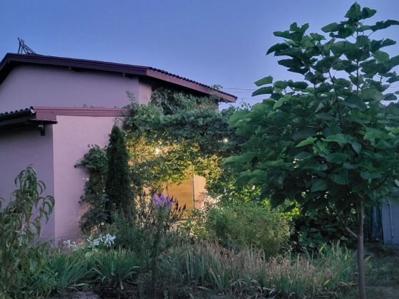 Продам дачу Марьяновка, кооп. Світлячок