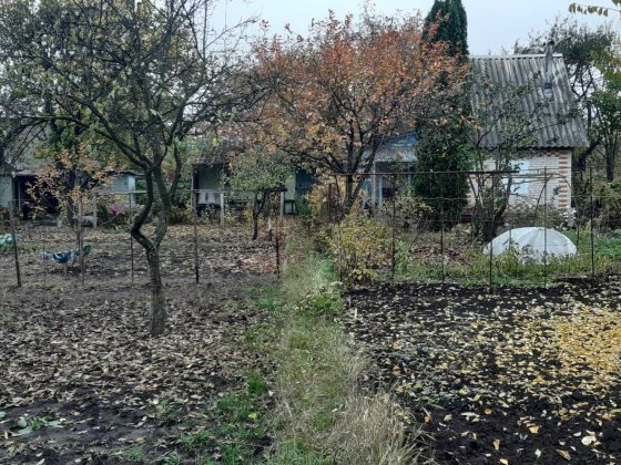 Дача, Хіммістечко Суми