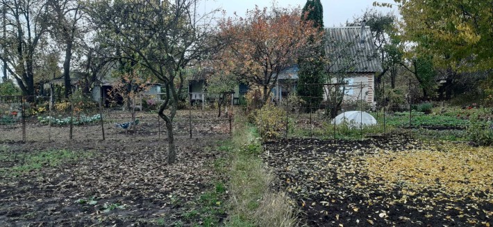 Дача, Хіммістечко - фото 1