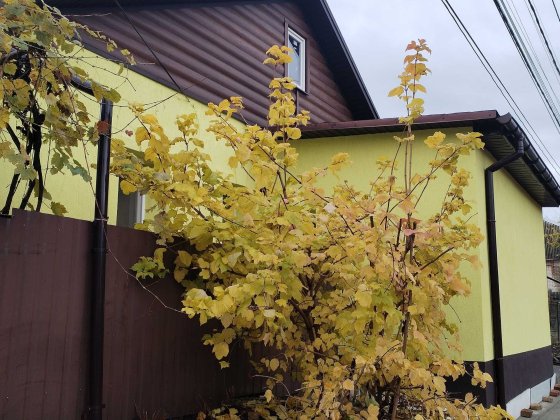 Продам будинок в центрі м.Суми. Р-н вул. Петропавлівська. А/О, ремонт. Суми