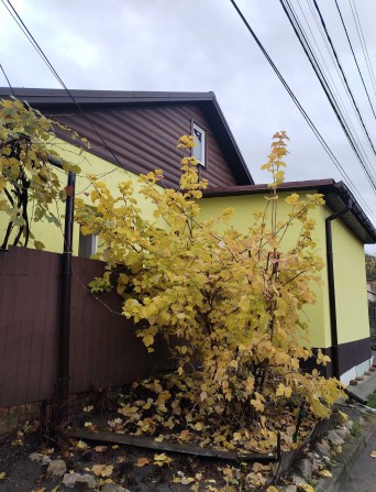 Продам будинок в центрі м.Суми. Р-н вул. Петропавлівська. А/О, ремонт. - фото 1