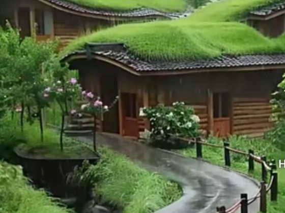 Ваша мрія !!!Старовинна садиба  в Центрі  міста з великою ділянкою Суми