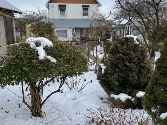 Будинок на рощі стинці вул. Димківська Черновцы