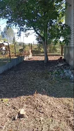 Продаётся дачный участок - фото 1