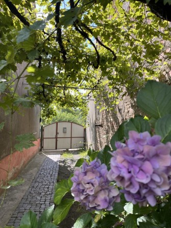 Продаж цегляного будинку рн вул. Руськоі - фото 1