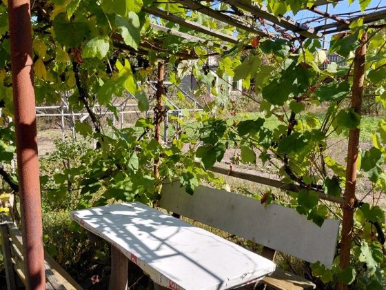 Дача в межах міста, р-н Ст. Подусівка Чернигов