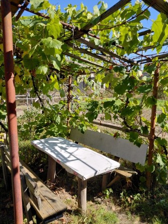 Дача в межах міста, р-н Ст. Подусівка - фото 1