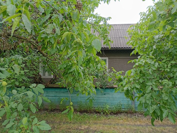 Продам будинок в Чернівецькій області - фото 1