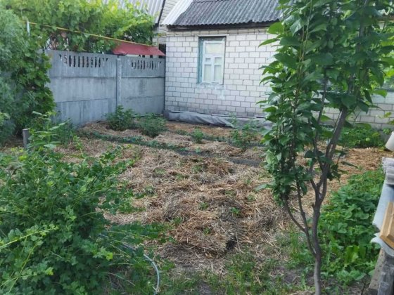 Будинок в чудовому районі. Черкаси