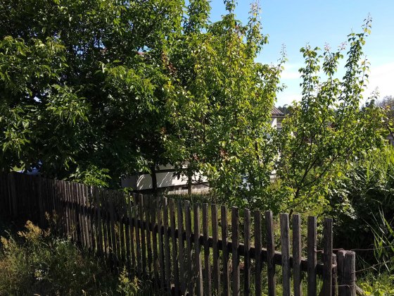 Продається ділянка будови СК Прогрес Нова Українка біля Піщаного озера Рівне