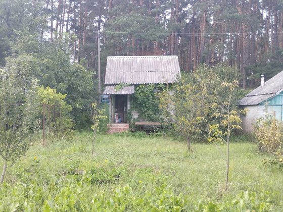 Продастся дача в районе Старой Подусовки. Общество Барвинок. Чернигов