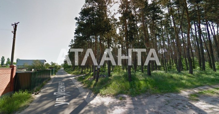 Унікальна локація для життя  навпроти соснового лісу   Чапаївка - фото 1