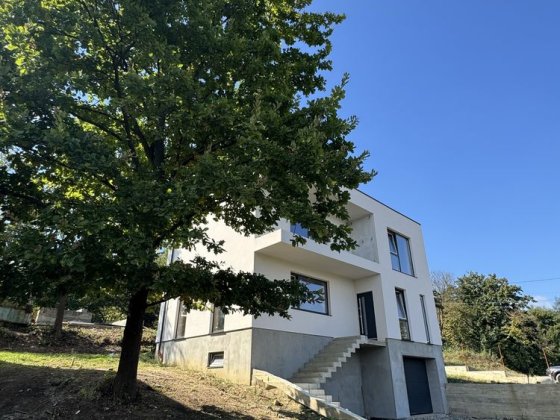 Будинок в гарній зеленій локації Черновцы