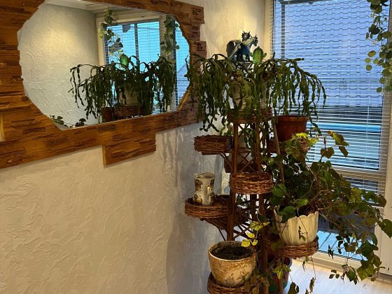 Будинок ТЕРМІНОВО Академ містечко городок Беличи дом Біличі Святошин Киев