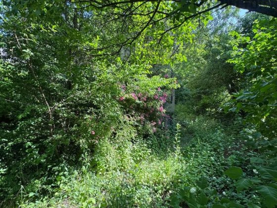 Продаж будинку в районі Дастора! Ужгород