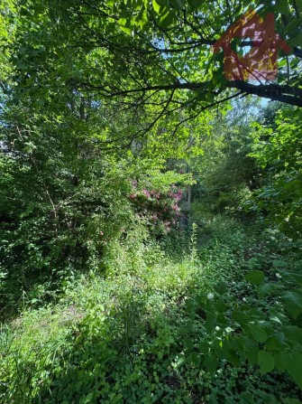 Продаж будинку в районі Дастора! - фото 1